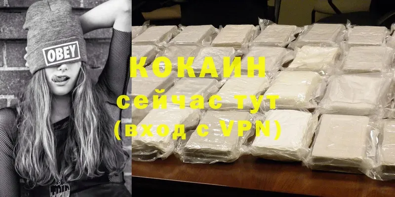 Cocaine Эквадор  кракен ссылки  Вязьма 