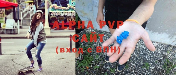 apvp Горняк