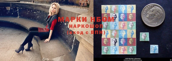 PSILOCYBIN Нязепетровск