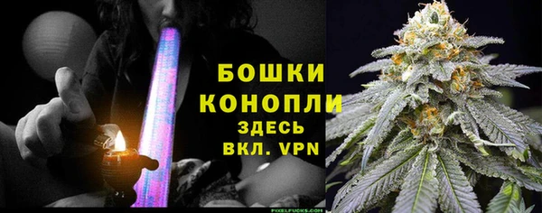 дмт Осинники