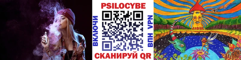 Галлюциногенные грибы Psilocybine cubensis  как найти наркотики  Вязьма 