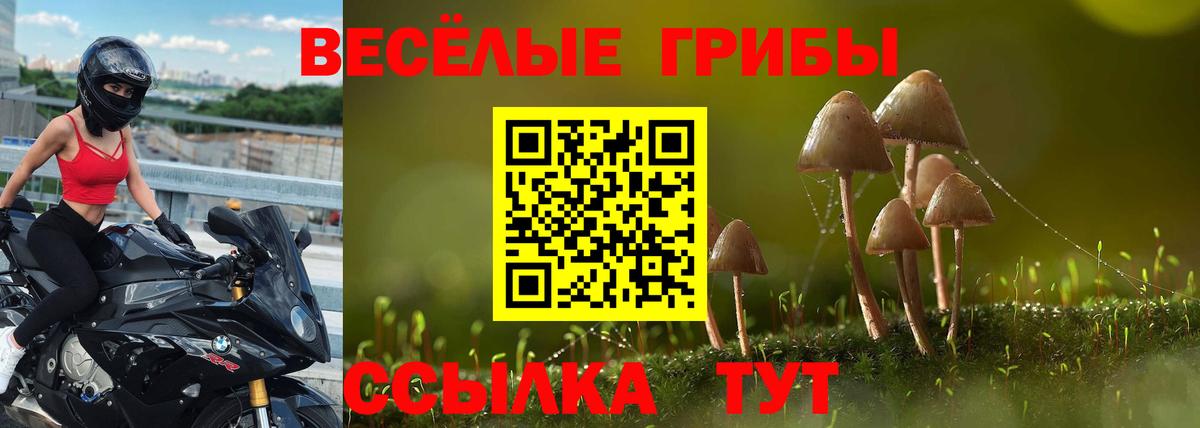 Галлюциногенные грибы MAGIC MUSHROOMS Вязьма